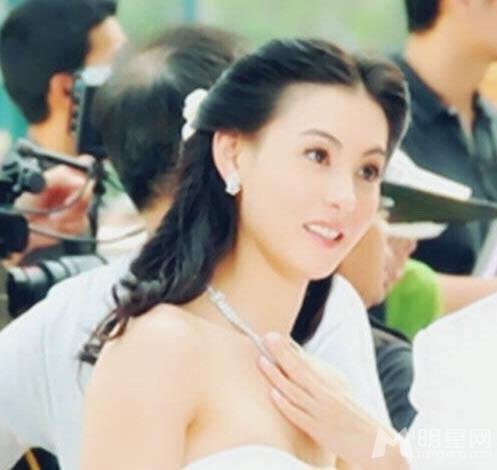 張柏芝遭向華強(qiáng)夫婦痛批 昔日美艷婚紗照遭泄(5)