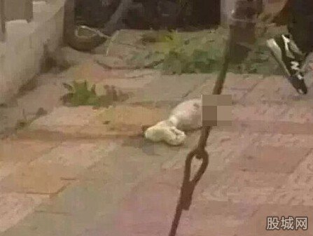 包公湖中撈出女性碎尸