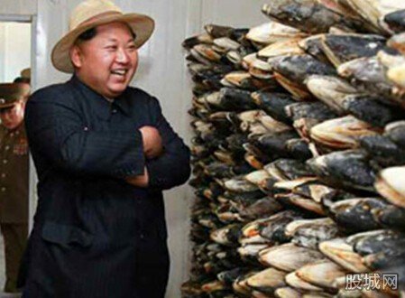金正恩戴草帽再次視察養(yǎng)魚場