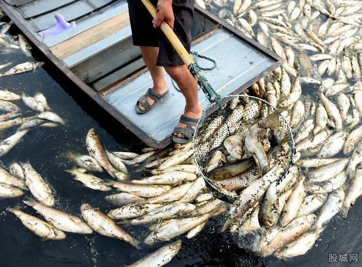 醬油湖