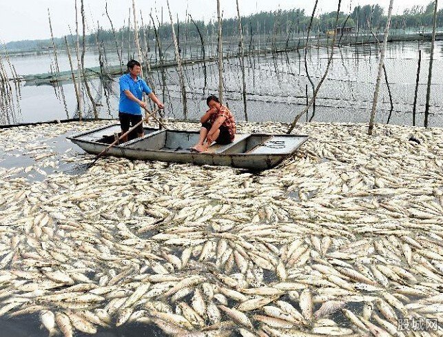 醬油湖