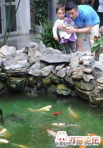 央視女主播瑤淼老公個(gè)人資料 瑤淼女兒橙子萌照撞臉費(fèi)曼近照引關(guān)注