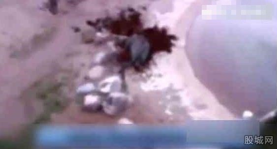 大象身體爆炸粉碎