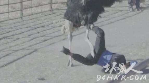 ǧϹrBd ǧϹY