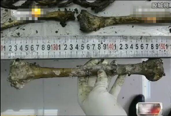男友與同事強(qiáng)暴女友后殺人拋尸