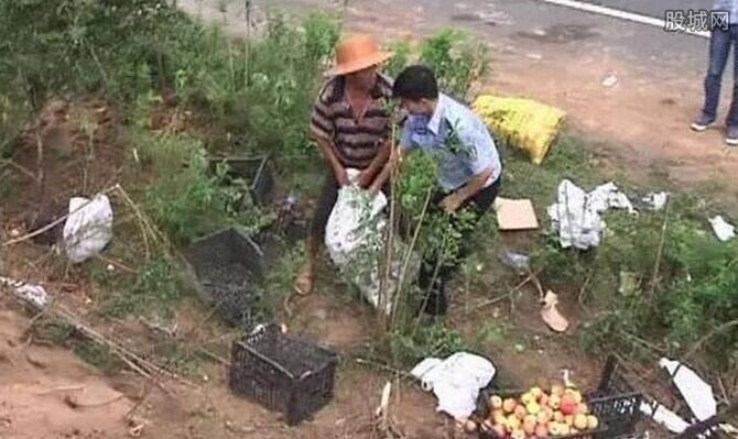 貨車傾翻遭哄搶