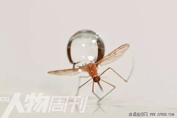 我是演說家胡立德個人資料及家庭背景