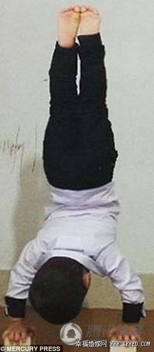 wСArat HosseiniĸYϼͥ Arat Hosseiniywل߼tW(wng)j(lu)
