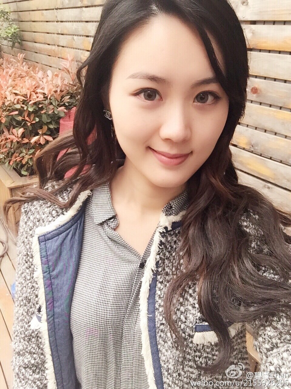 ݿٹBRTvTꐱ΢@RebbieChanW(wng)j(lu)߼t|ַ